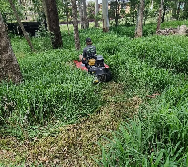 mowing gumtree areas tall grass