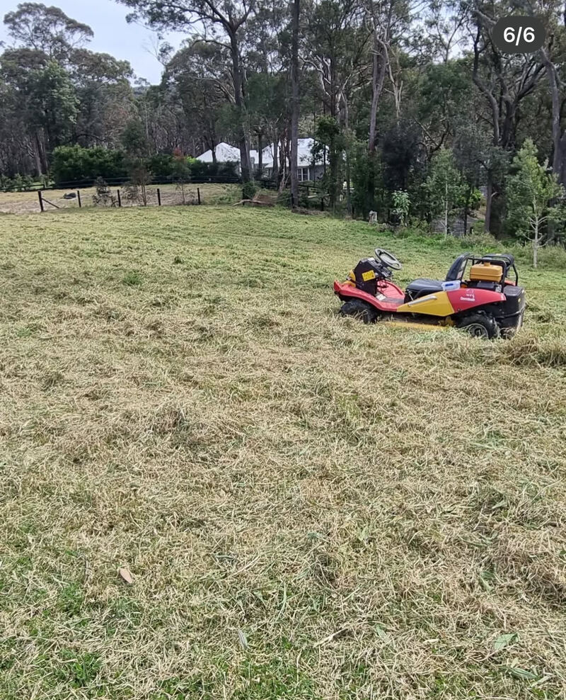 slashing tall grass and mowing