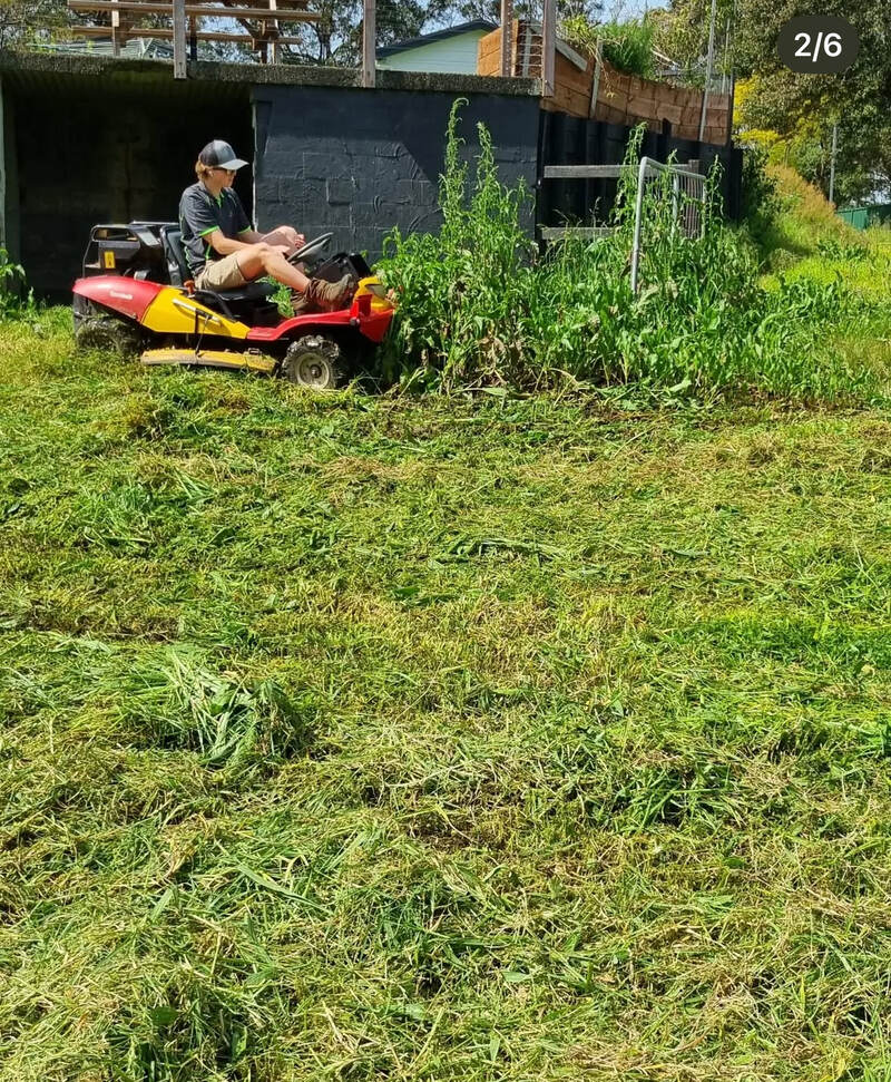 tall grass slashing in progress
