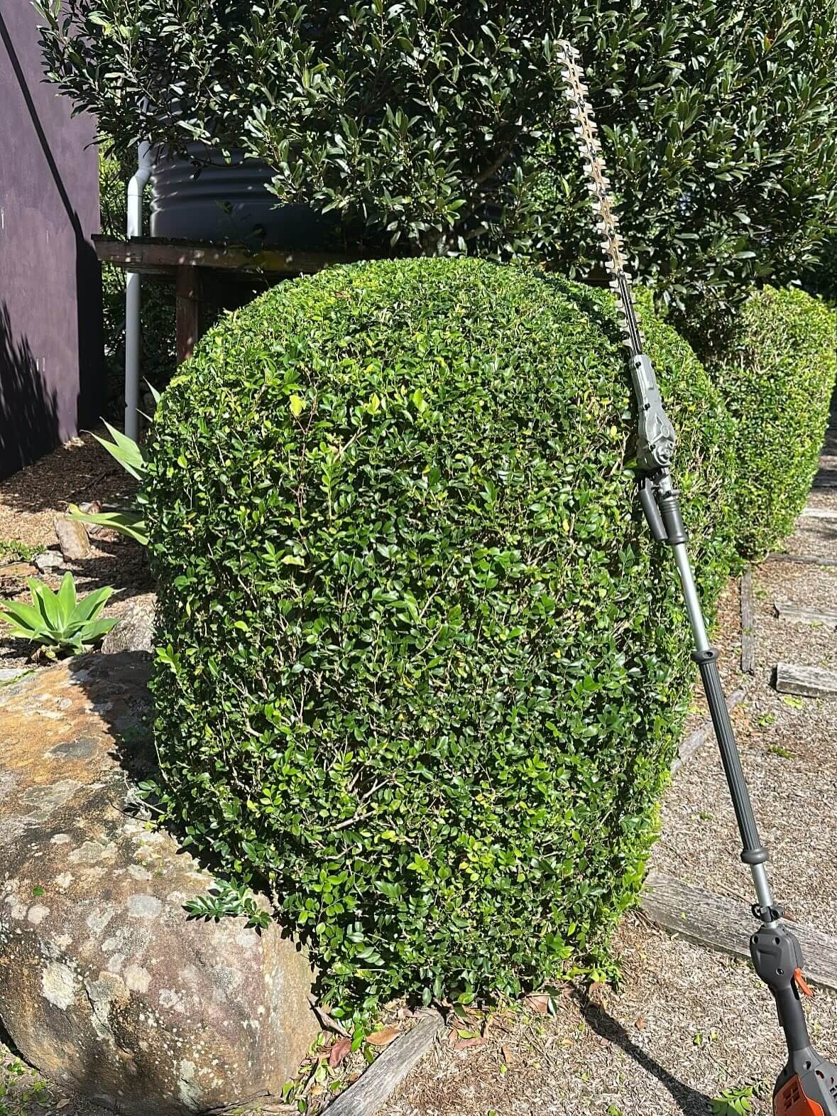 hedging and trimming service