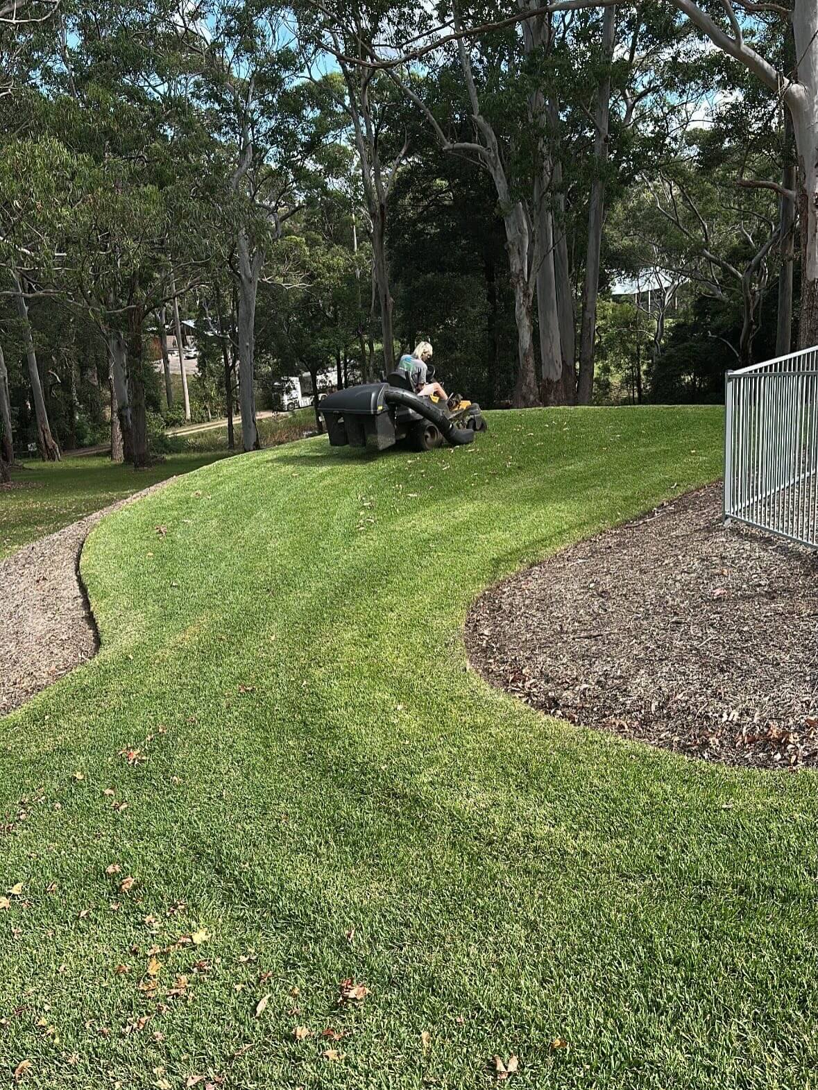 lawn care and maintenance