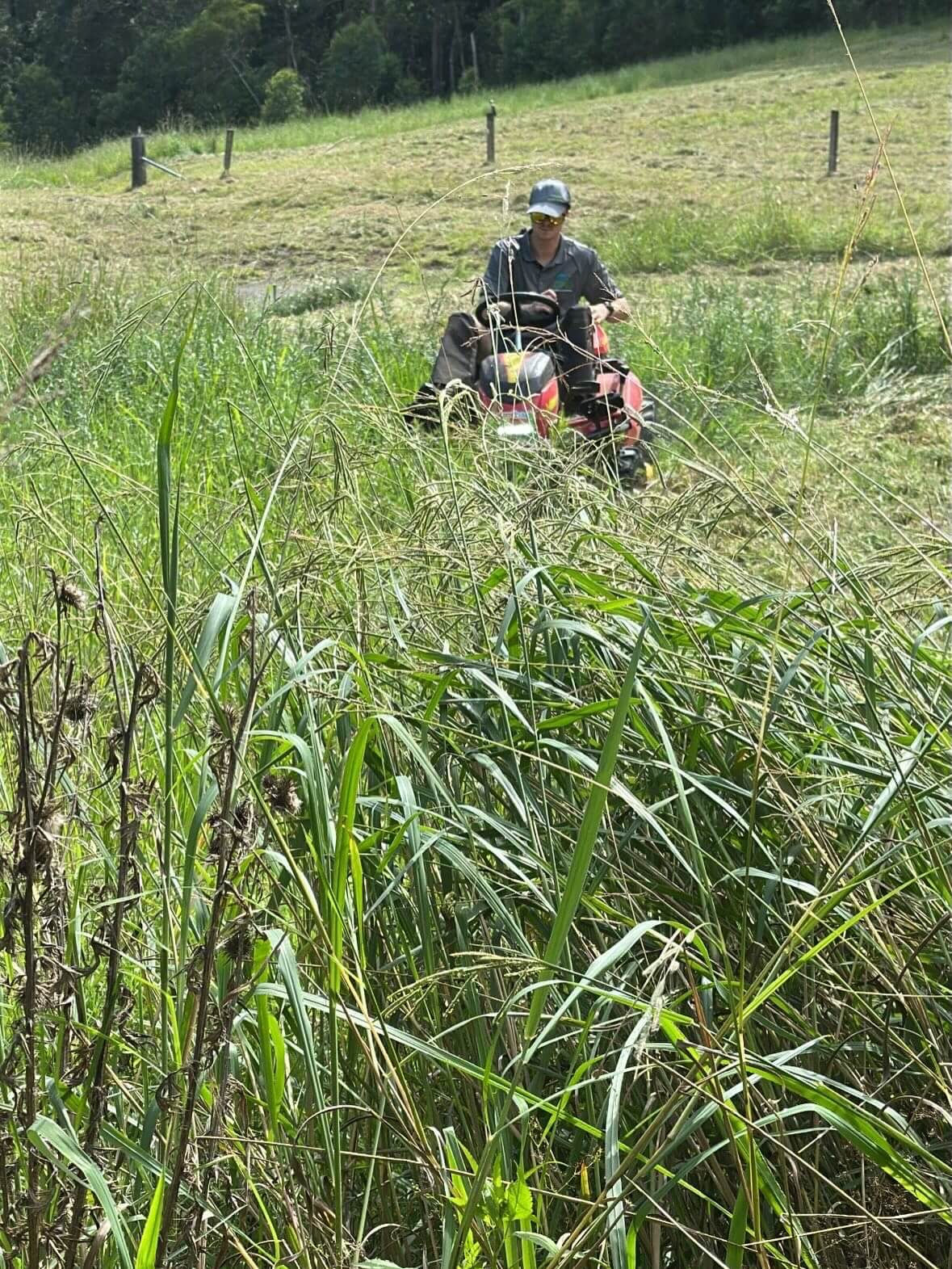 long grass mowing