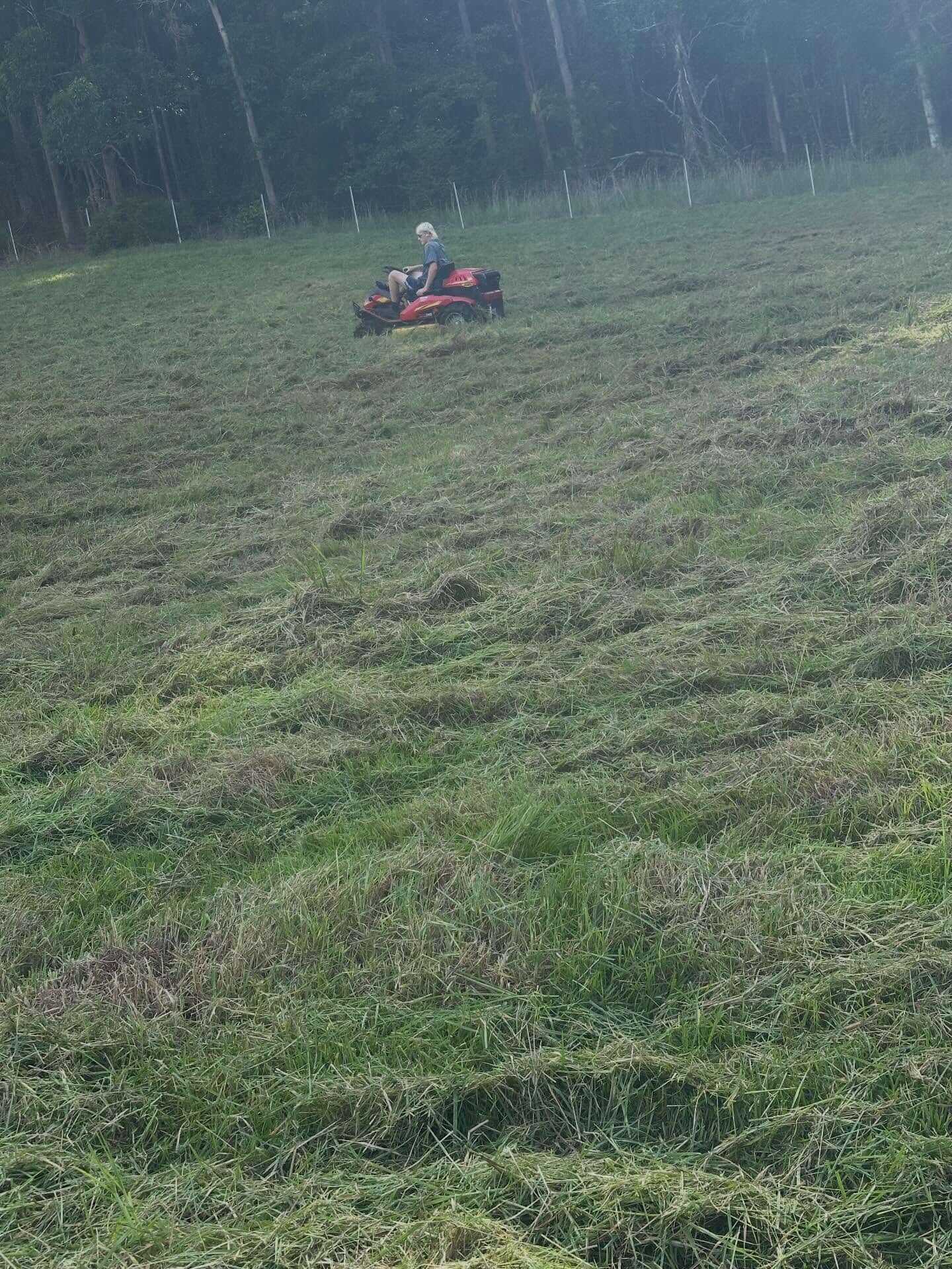 razor grass lawnmowing