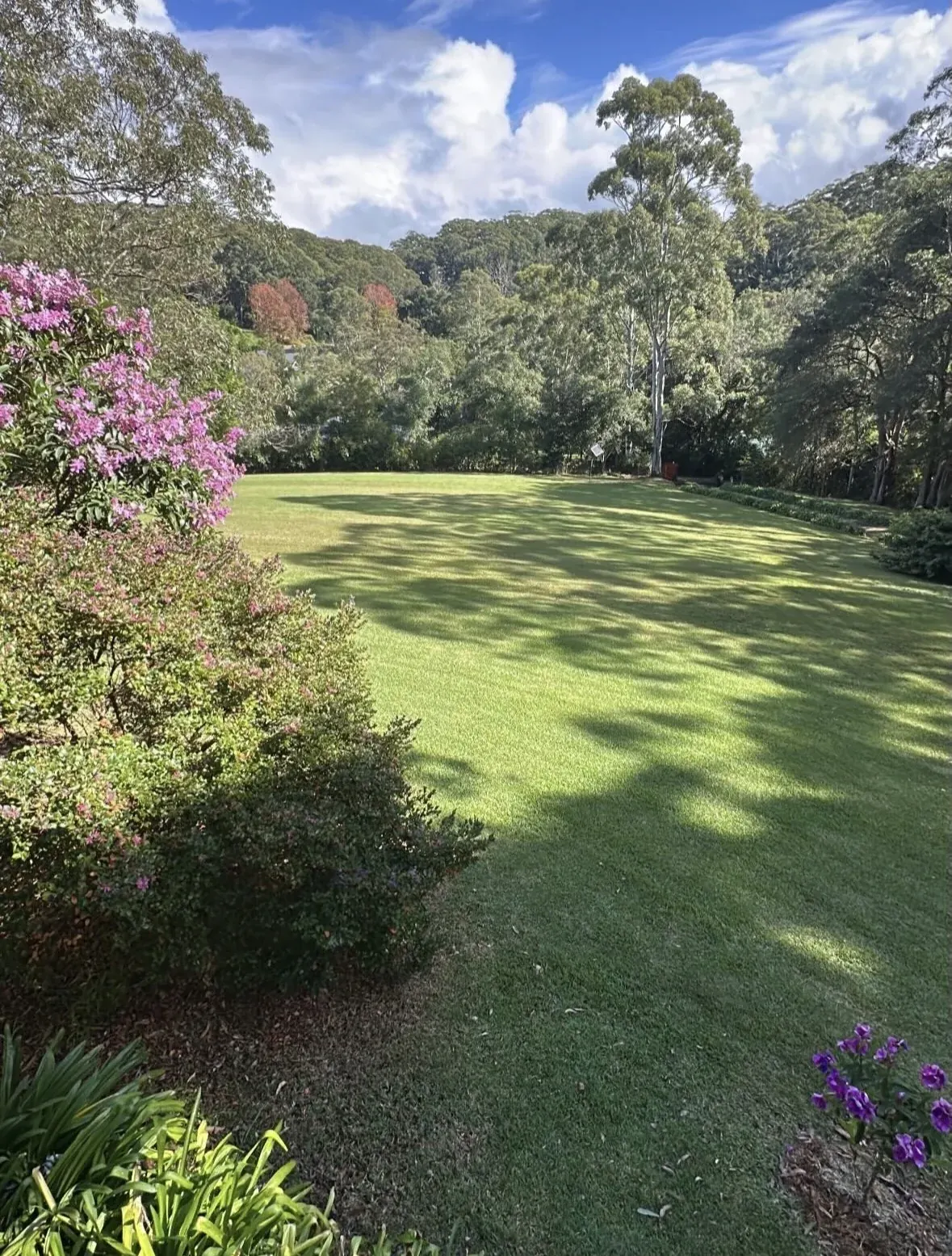 Freshly mown lawn surrounded by established trees