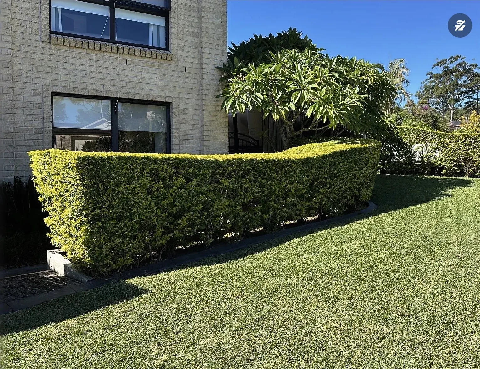Neatly trimmed hedges beside a home