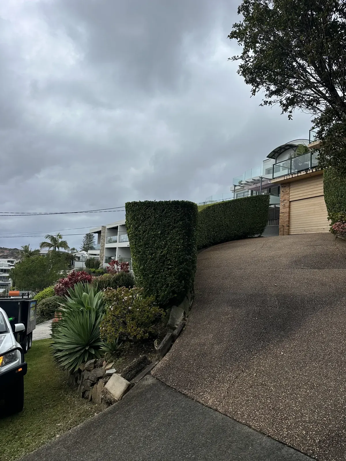 Maintained hedge beside a sloping driveway