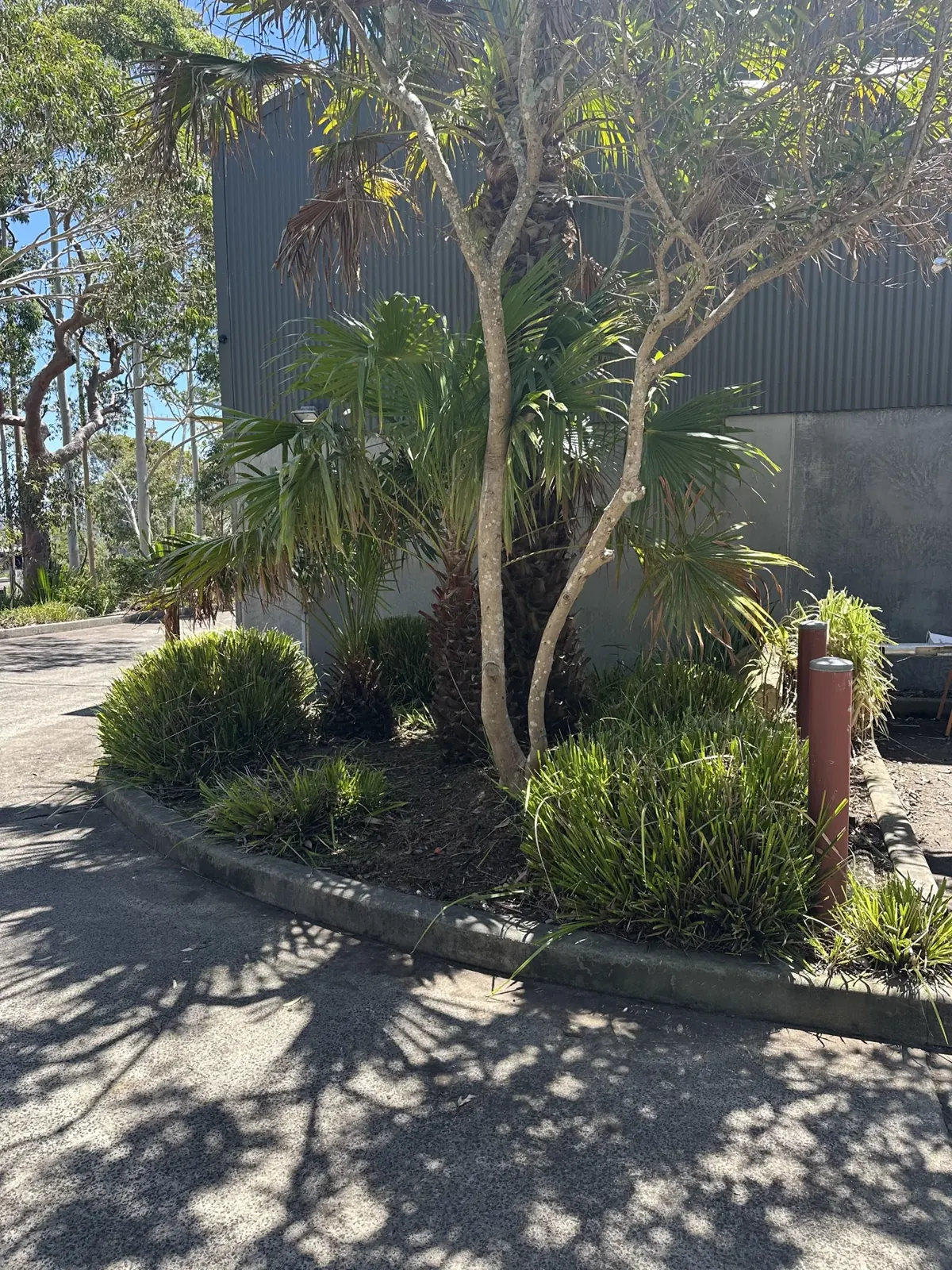 Maintained garden beds beside a driveway