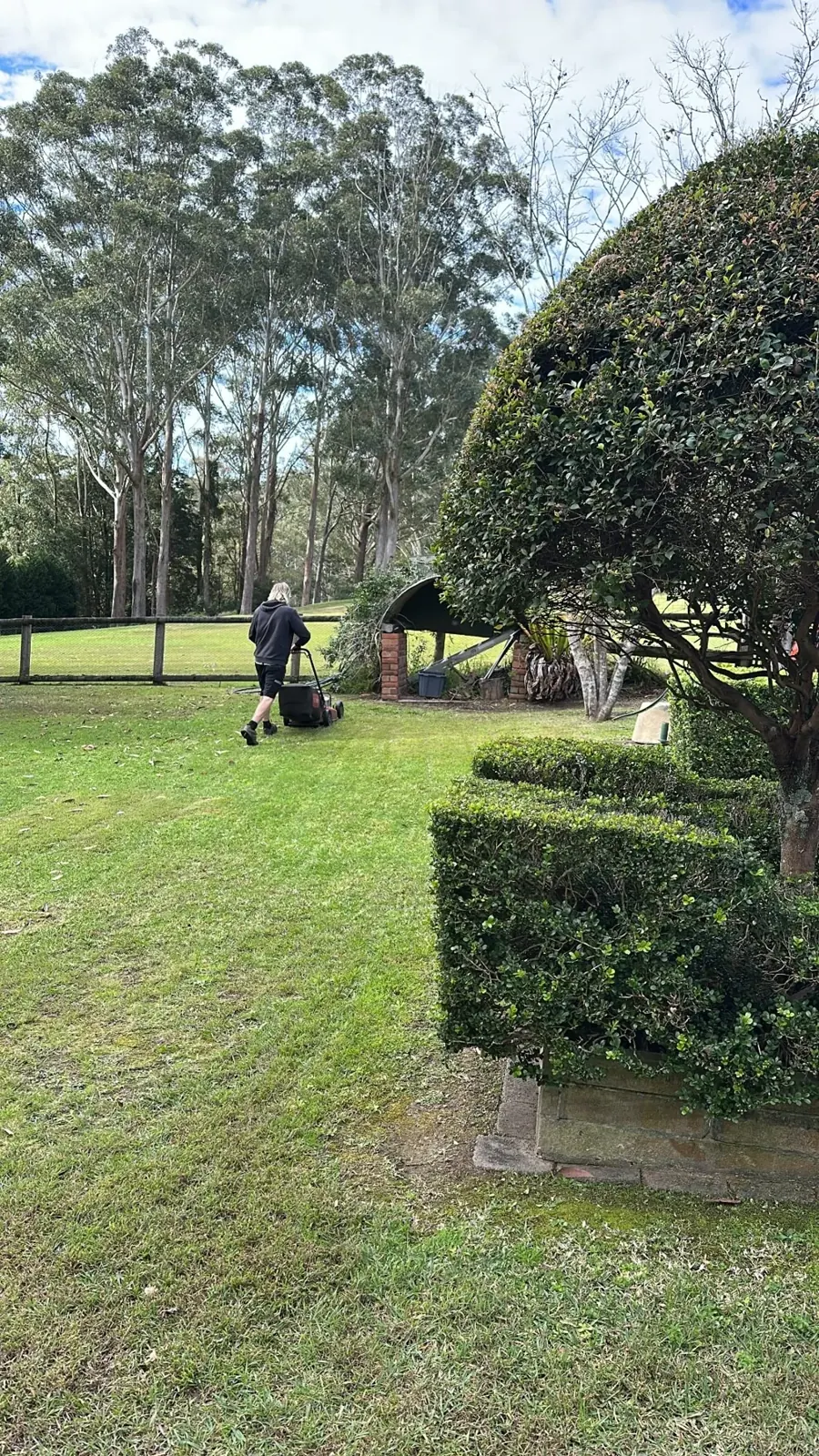 Lawn mowing beside established hedges
