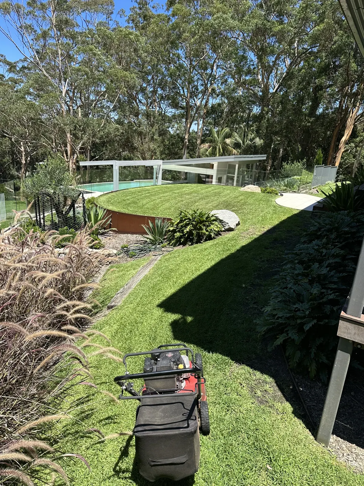 Maintained lawn beside a backyard pool
