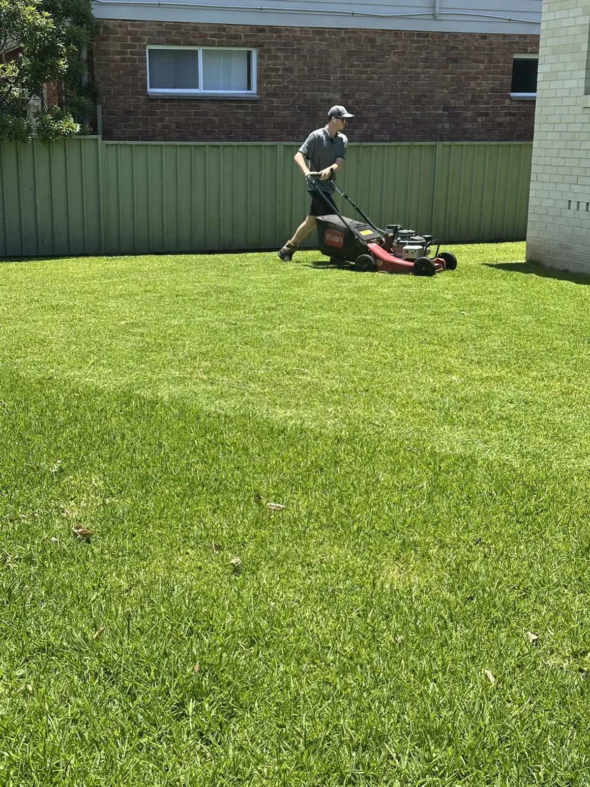 Mowing a residential backyard