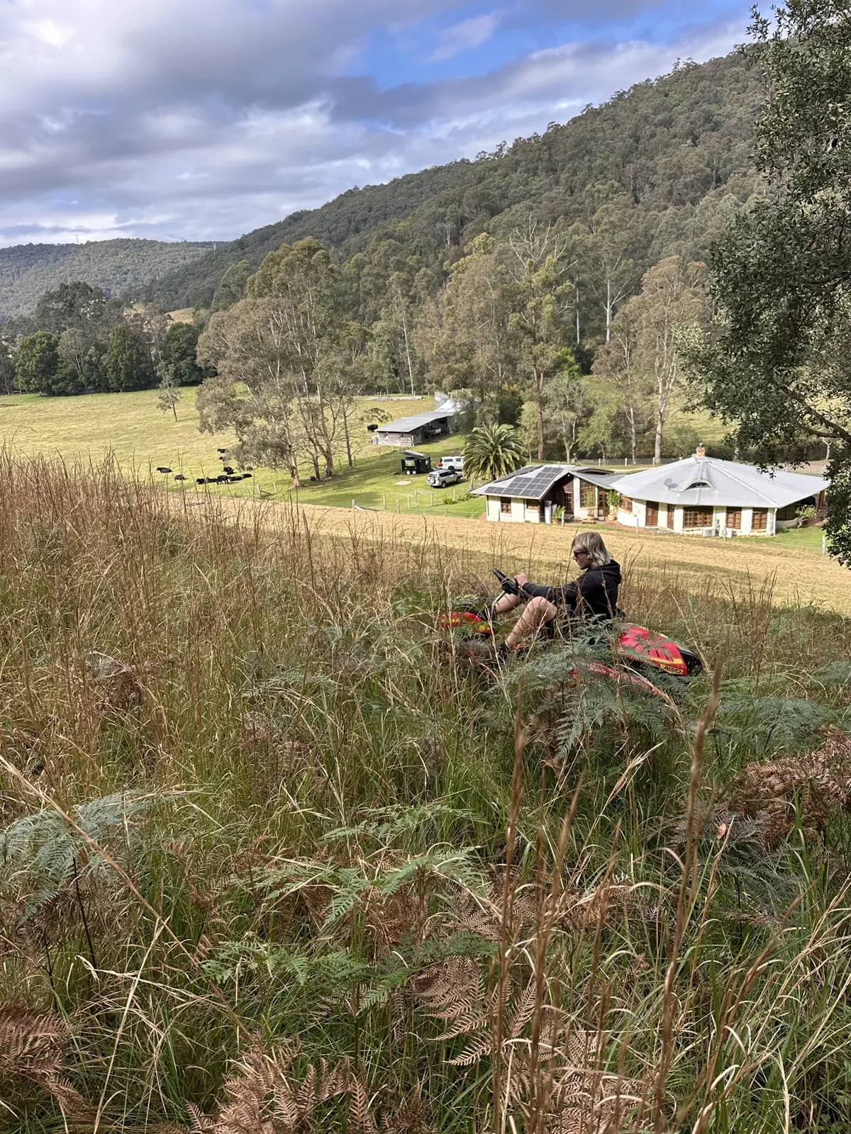 Slashing long grass on a rural hillside