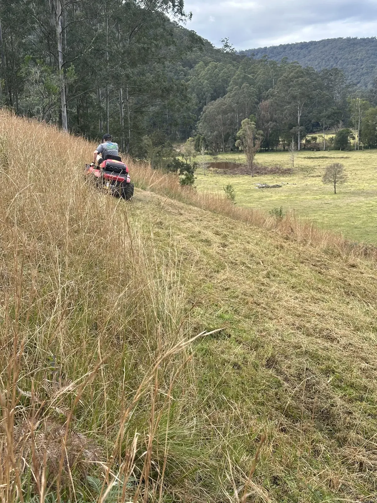 Clearing long grass on a slope