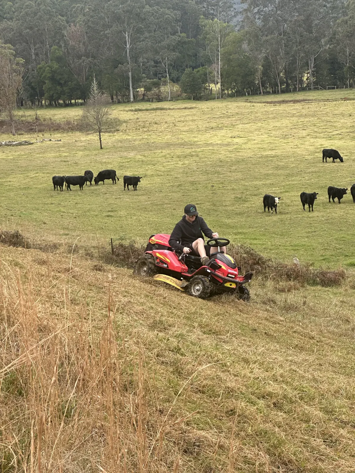 Ride-on slashing beside a paddock
