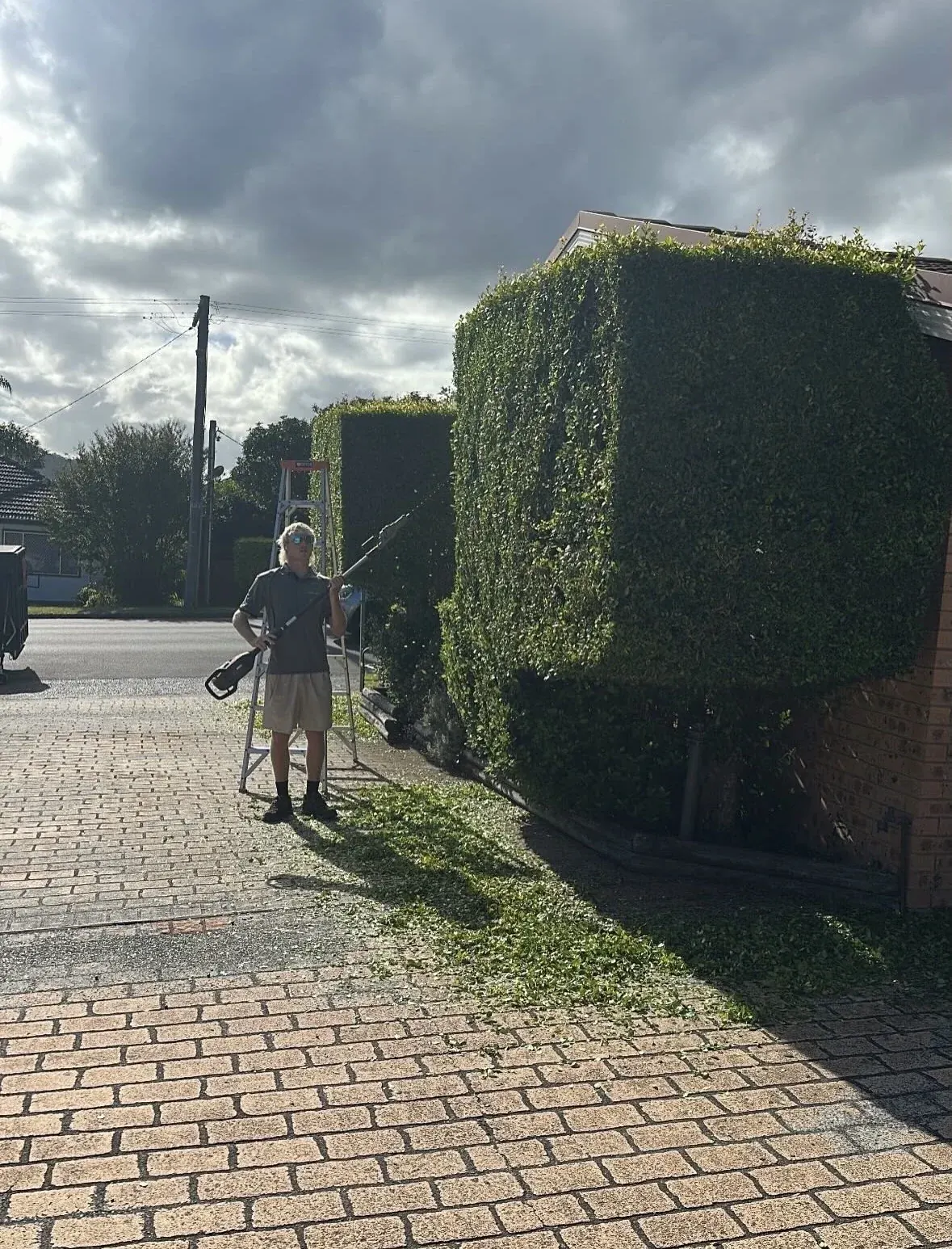 Hedge trimming beside a paved driveway
